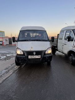 Газель Фермер