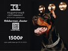 Фотосессия с доберманом (собакой) объявление продам