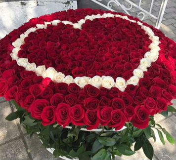 Розы цветы опт букеты 51,101роза доставка