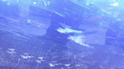 Дверь боковая левая передняя Alfa Romeo MiTo, 2010